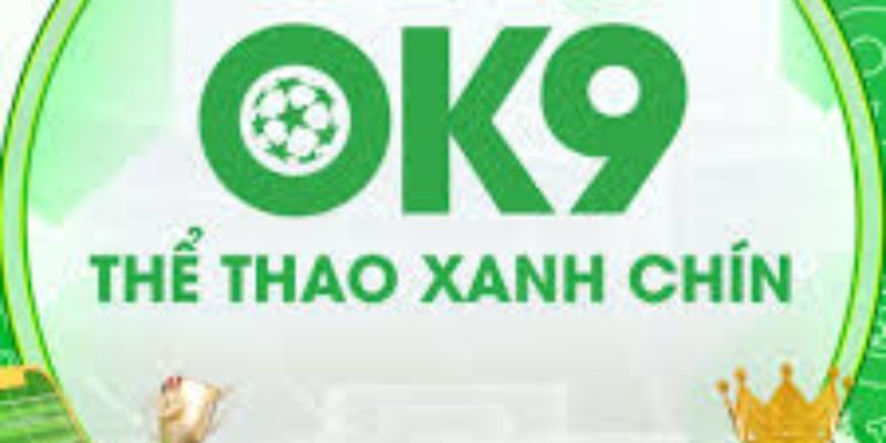 Ok9 – Nền tảng Thể thao Trực tuyến Hàng đầu Việt Nam